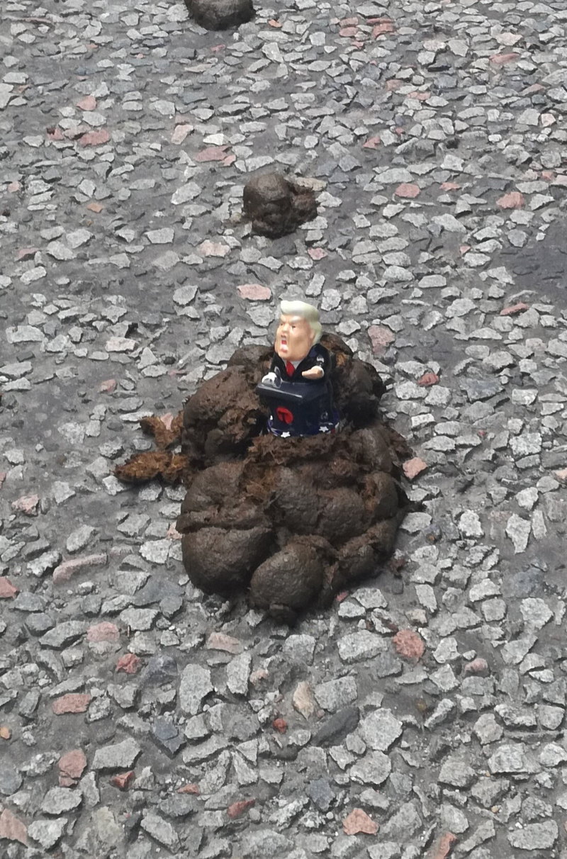 Illustration for article titled Scottish anti-Trump photo dump (long and comprehensive!)